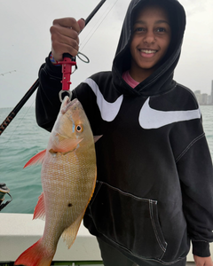 Snapper: Catch of the day, every day in FL!